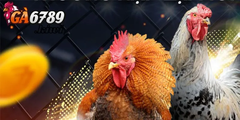 Quá trình phát triển nhà cái đình đám